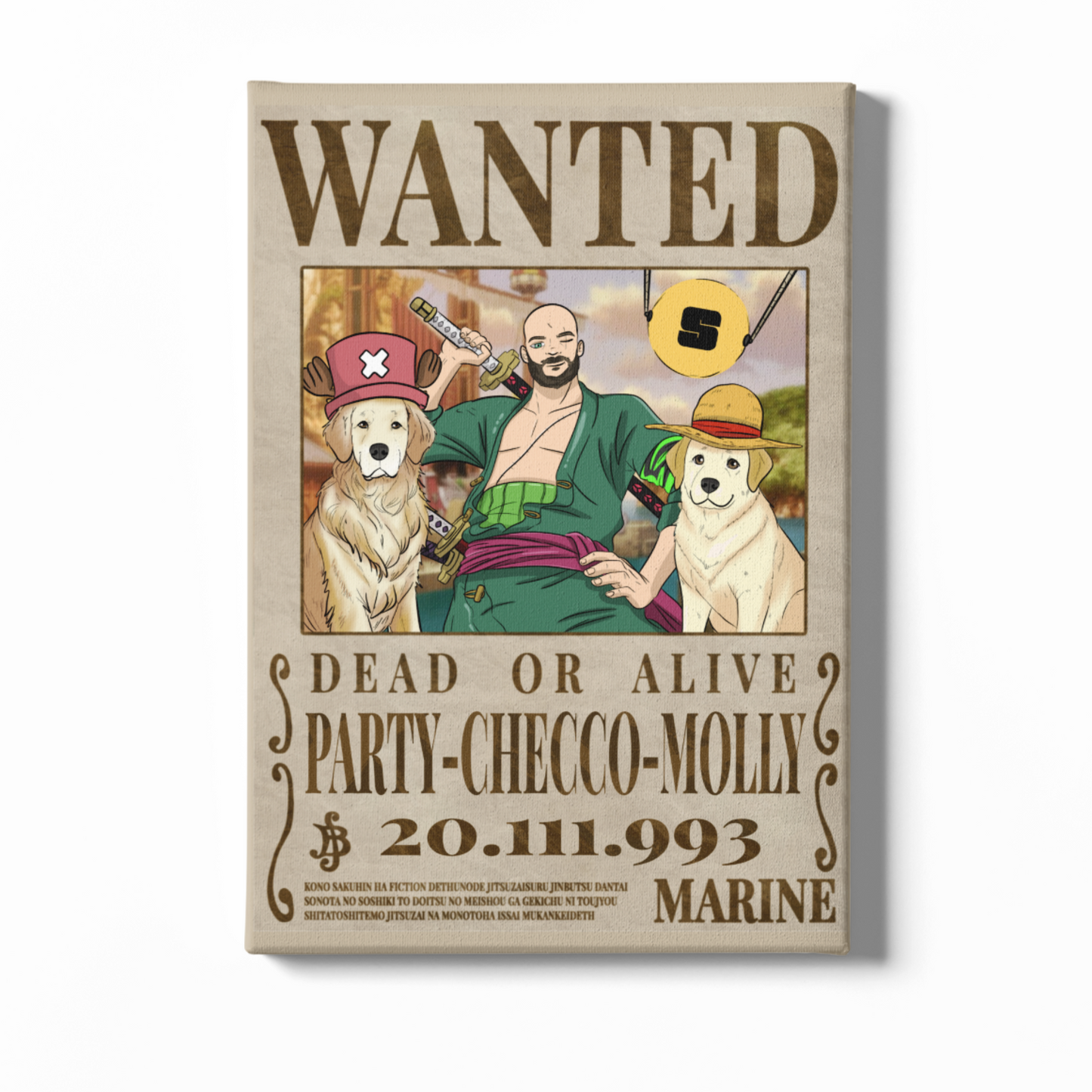 Manifesto da ricercato One Piece