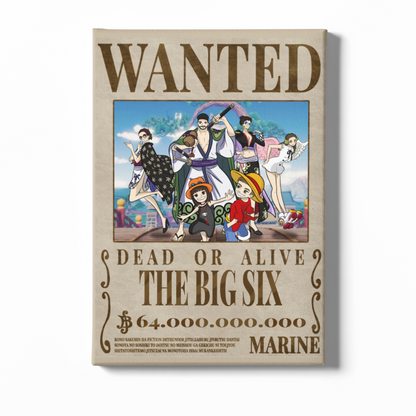 Manifesto da ricercato One Piece