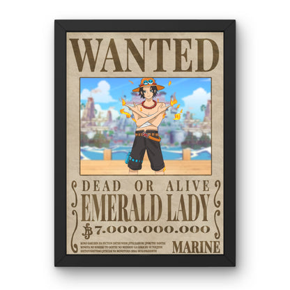 Manifesto da ricercato One Piece