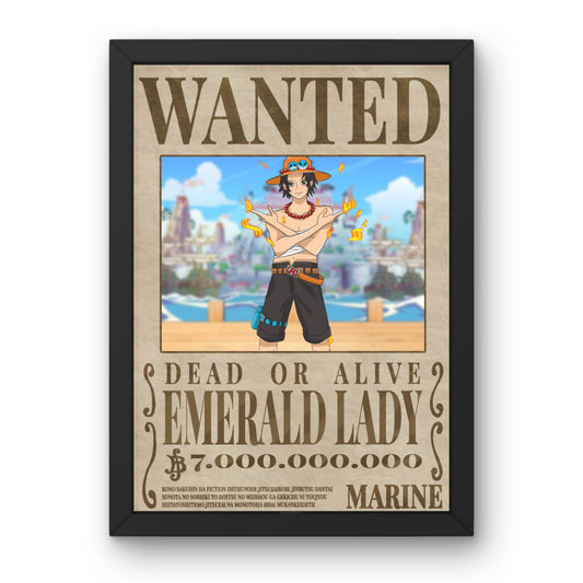 Manifesto da ricercato One Piece