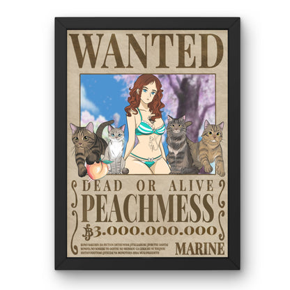 Manifesto da ricercato One Piece